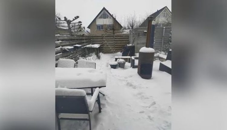 Desafio visual de um jardim coberto de neve com móveis e uma lareira ao fundo. Um pequeno gatinho está escondido na neve.