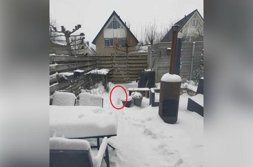 Solução do desafio visual de um jardim coberto de neve com móveis e uma lareira ao fundo. Um pequeno gatinho está escondido na neve.