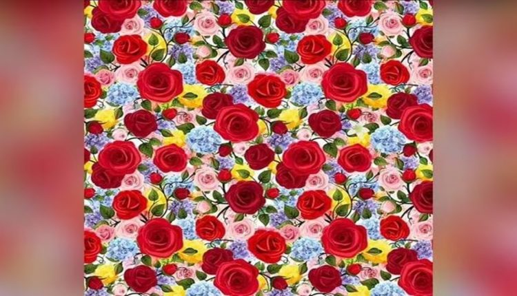 Desafio visual com o padrão de flores coloridas com destaque para rosas vermelhas, amarelas e outras flores ao fundo