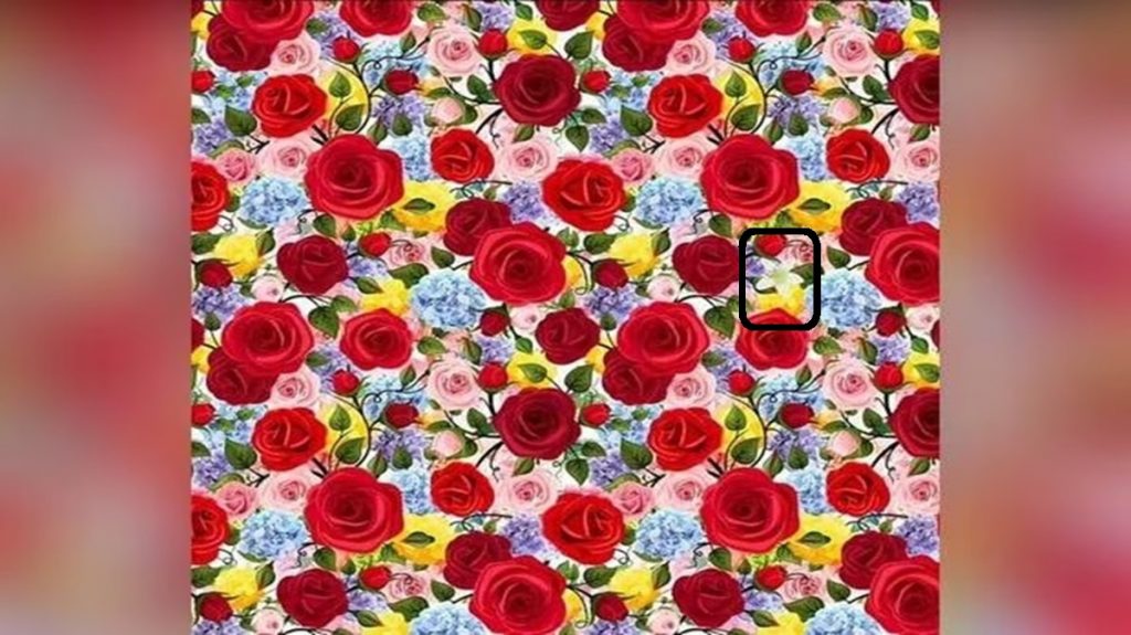 Solução do desafio visual com o padrão de flores coloridas com destaque para rosas vermelhas, amarelas e outras flores ao fundo