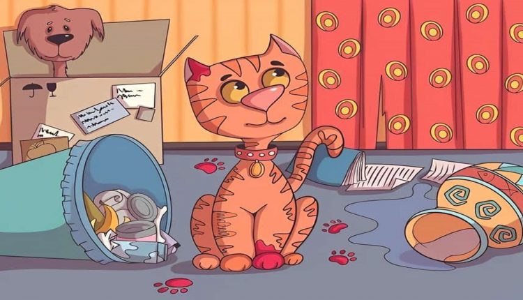Desafio visual com uma cena divertida com gato bagunceiro, cachorro na caixa e objetos espalhados no chão