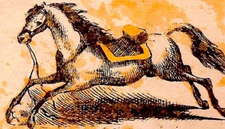 Ilusão de ótica com uma ilustração em tons de sépia de um cavalo correndo, escondendo uma figura humana na imagem.
