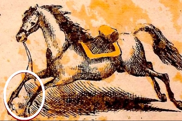 Solução da ilusão de ótica com uma ilustração em tons de sépia de um cavalo correndo, escondendo uma figura humana na imagem.