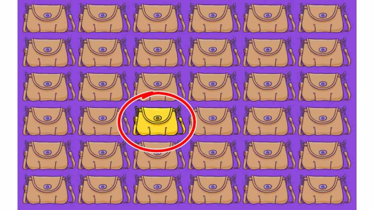 Resposta do desafio visual - Veja onde está a bolsa diferente. Fonte: Jagran Josh.