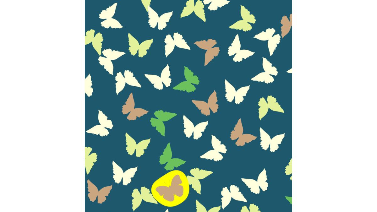 Resposta do desafio visual. Veja onde está a borboleta diferente. Fonte: Jagran Josh.
