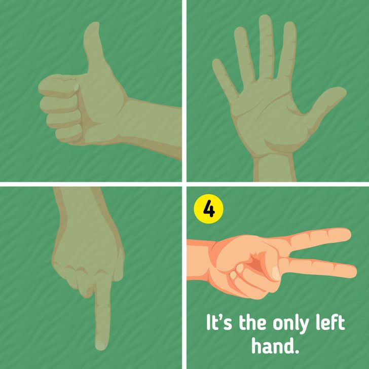 Resposta do teste de QI - Veja qual das mãos não tem relação com as outras. Fonte: Jagran Josh.