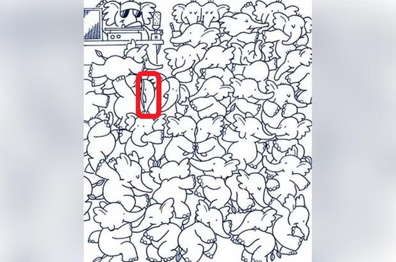 Desenho em preto e branco de dezenas de elefantes desenhados lado a lado, com um locutor no canto superior esquerdo.