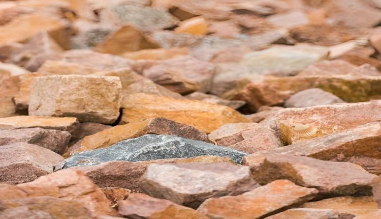 Teste de QI com uma concha escondida entre várias pedras de diferentes tamanhos e cores