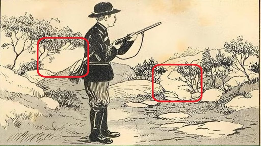 Solução do teste de QI com uma ilustração antiga de um caçador com uma espingarda observando a paisagem ao seu redor.