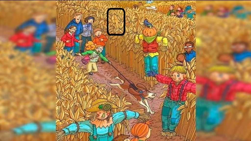 Solução do teste de QI em uma cena colorida em milharal com espantalhos, pessoas e um cachorro, com um detalhe escondido para ser descoberto.