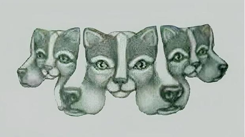 Ilustração de ilusão de ótica com rostos de cães e gatos sobrepostos