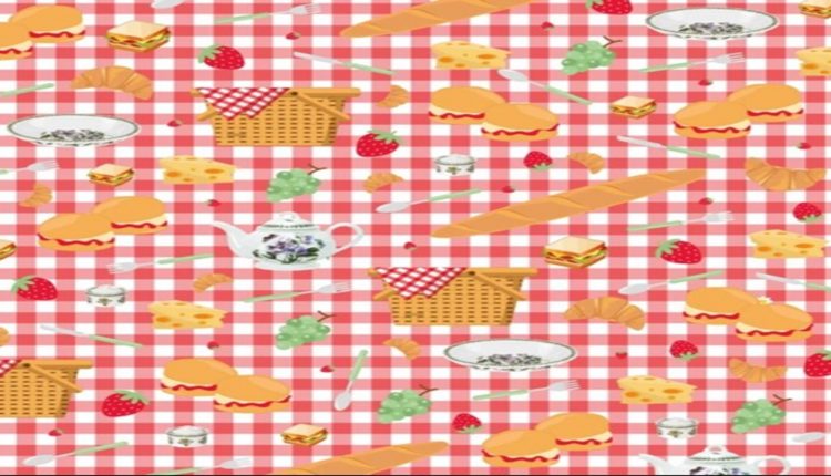 Teste visual com padrão de toalha xadrez vermelha com ilustrações de piquenique como cestas, morangos, baguetes e xícaras