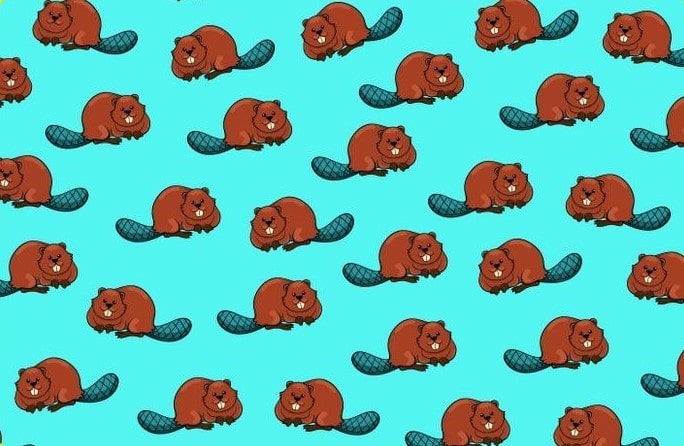 Imagem ilustrada com vários castores marrons sobre fundo azul, em um desafio para encontrar o castor diferente.