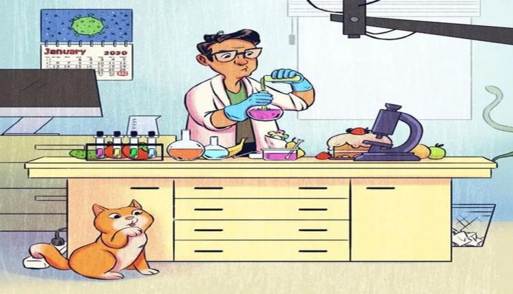 Teste visual com uma ilustração de um laboratório com cientista, objetos fora de contexto e um gato curioso.