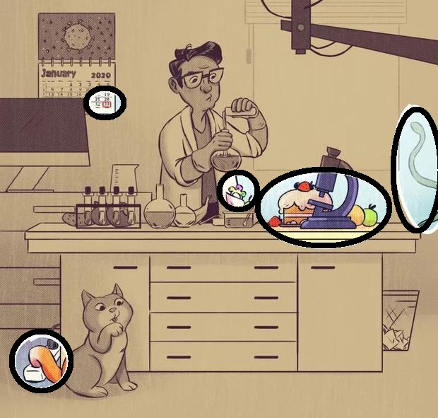 Solução do teste visual com uma ilustração de um laboratório com cientista, objetos fora de contexto e um gato curioso.