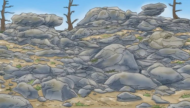 Teste visual com cão camuflado entre pedras em paisagem árida com árvores secas