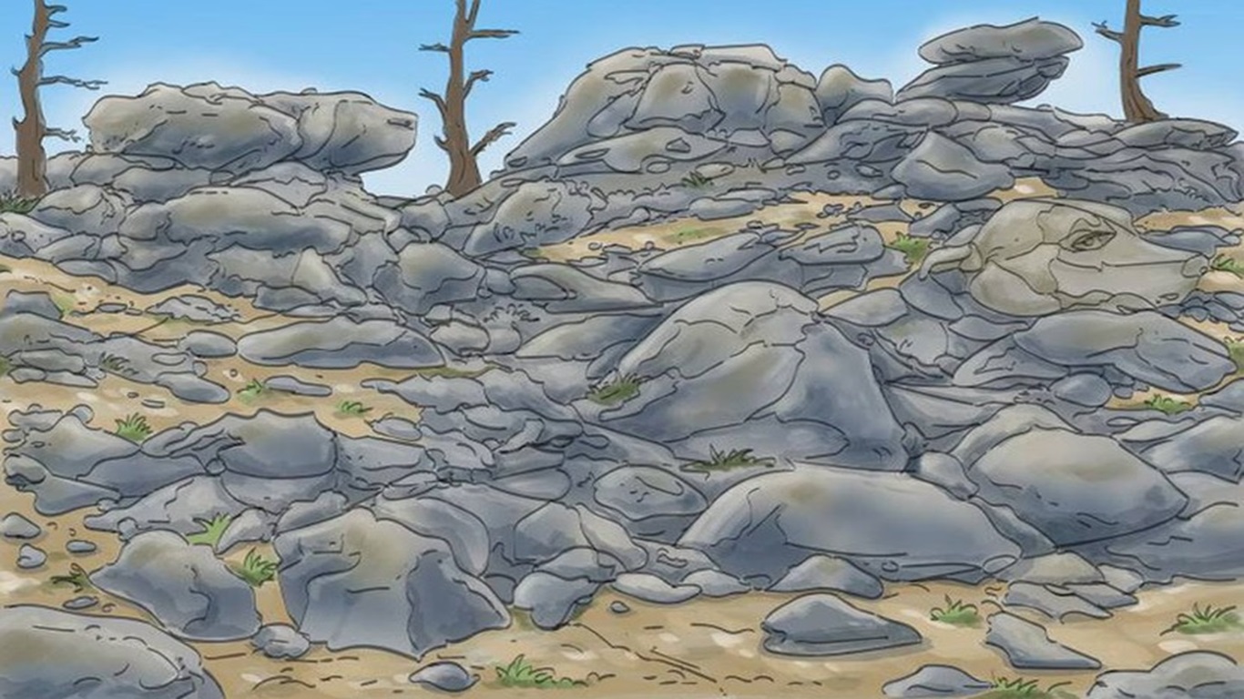 [Teste Visual: descubra o cãozinho camuflado na paisagem rochosa]