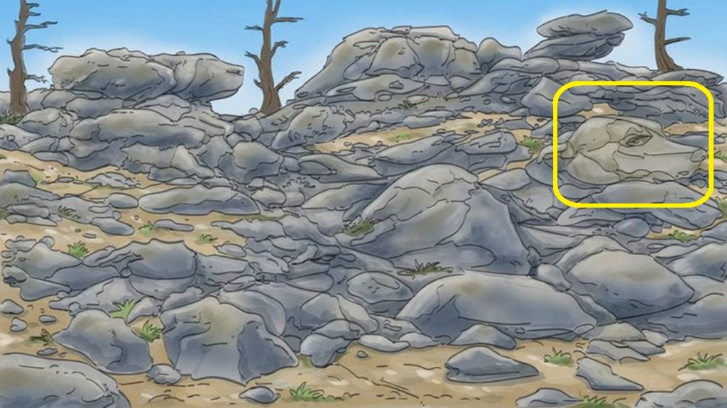 Solução do teste visual com cão camuflado entre pedras em paisagem árida com árvores secas