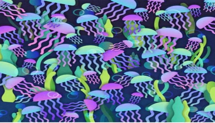 Teste visual com imagem vibrante de várias águas-vivas coloridas flutuando em um fundo escuro e um cogumelo escondido entre as águas-vivas.