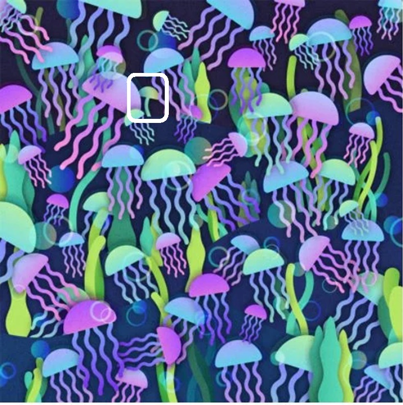 Solução do teste visual com imagem vibrante de várias águas-vivas coloridas flutuando em um fundo escuro e um cogumelo escondido entre as águas-vivas.