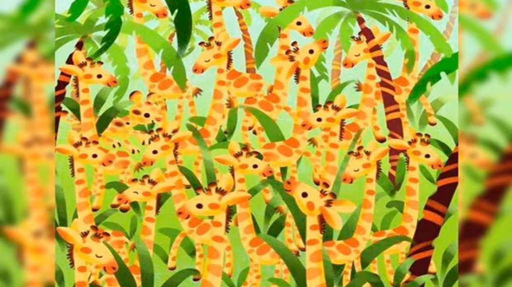 Teste visual com uma ilustração colorida de girafas entre plantas, com várias girafas amarelas e laranja escondidas entre a vegetação.
