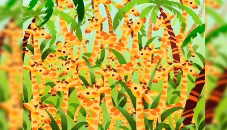 Teste visual com uma ilustração colorida de girafas entre plantas, com várias girafas amarelas e laranja escondidas entre a vegetação.
