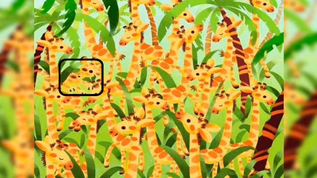 Teste visual com uma ilustração colorida de girafas entre plantas, com várias girafas amarelas e laranja escondidas entre a vegetação.