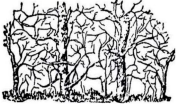 Desenho de ilusão de ótica com animais escondidos entre árvores e galhos