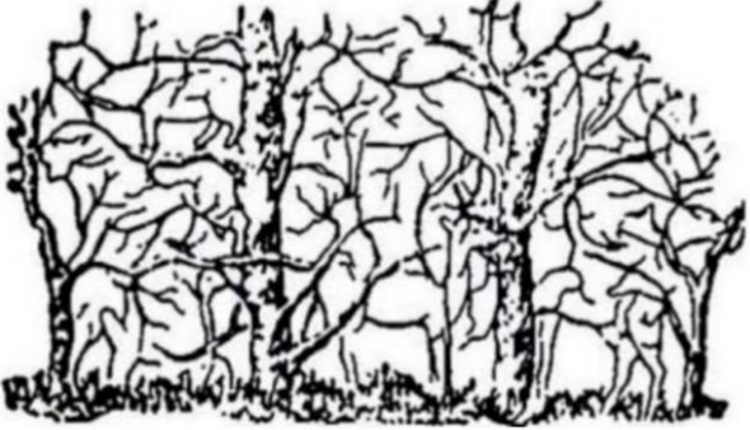 Teste visual com um desenho de ilusão de ótica com animais escondidos entre árvores e galhos