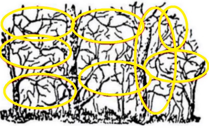 Solução do teste visual com um desenho de ilusão de ótica com animais escondidos entre árvores e galhos