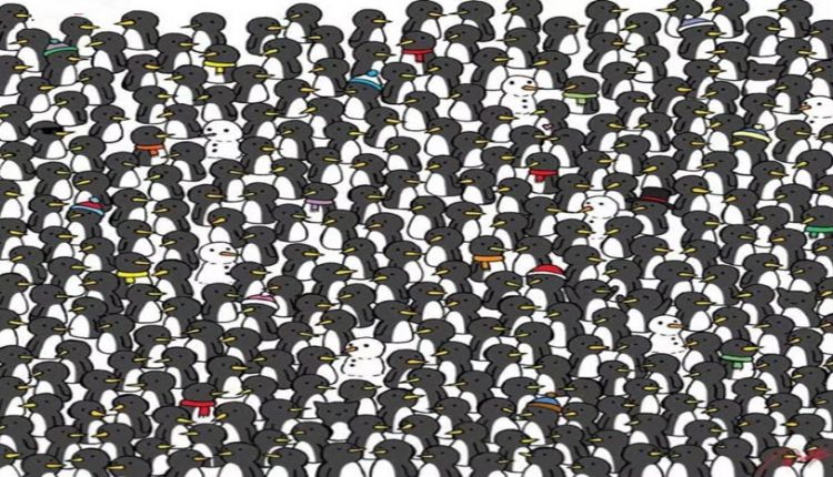 Teste visual com vários pinguins e três gatos escondidos entre eles.