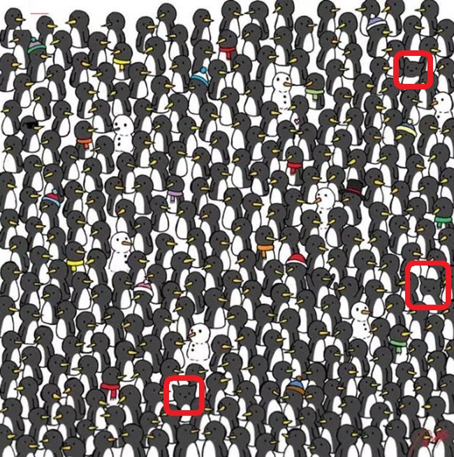 Solução do teste visual com vários pinguins e três gatos escondidos entre eles.