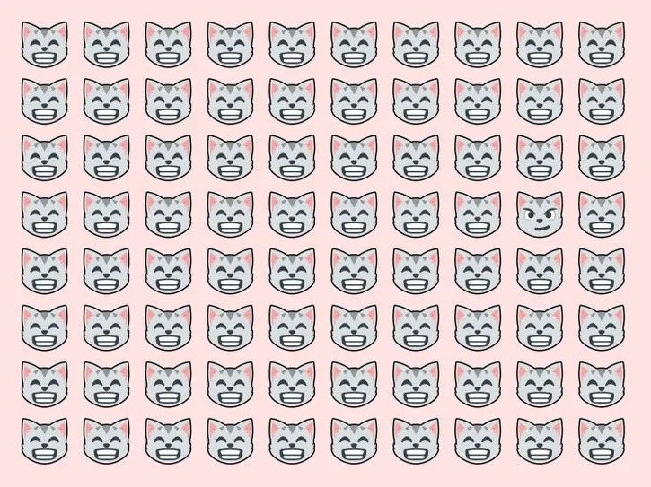 Imagem com diversos rostos de gatos sorrindo e apenas um com expressão diferente sobre fundo rosa.