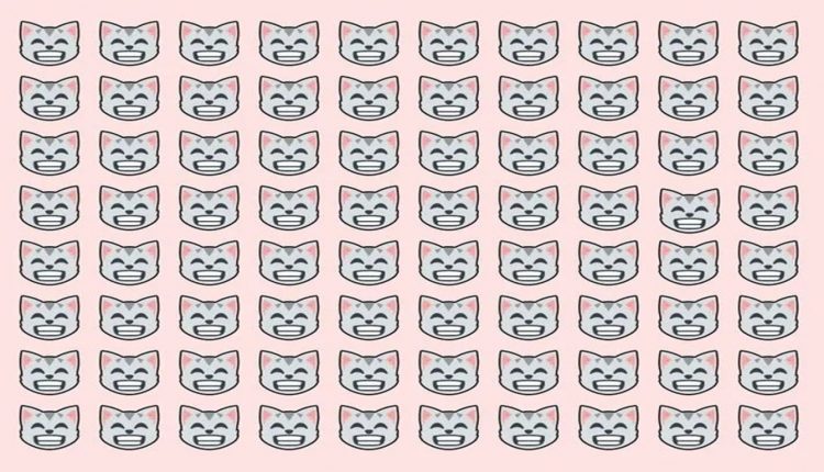 Teste visual com diversos rostos de gatos sorrindo e apenas um com expressão diferente sobre fundo rosa.