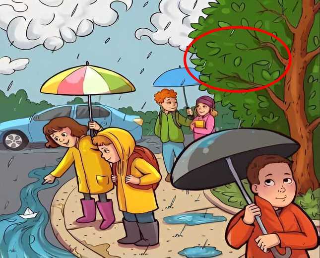 Veja onde está a palavra storm na imagem. Fonte: Jagran Josh.