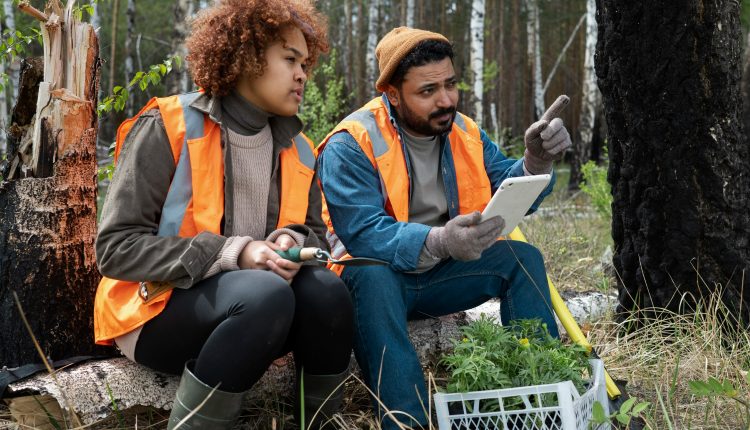Profissionais da área de recursos naturais em campo, analisando dados em tablet enquanto discutem práticas sustentáveis no meio ambiente.