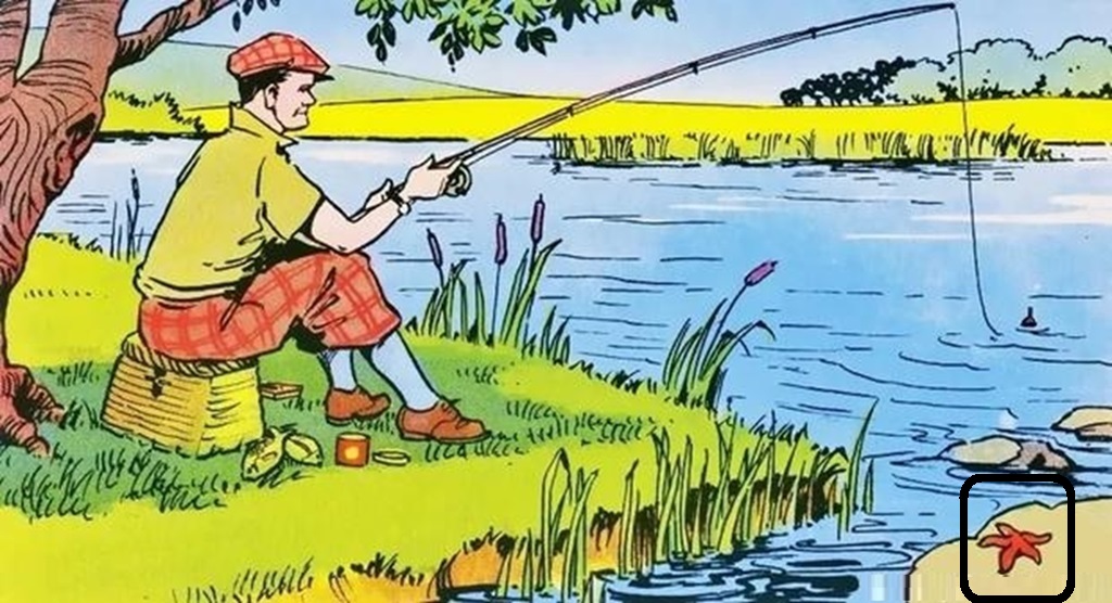 Desafio lógico com um Homem pescando à beira de um rio em uma ilustração colorida de cena campestre.