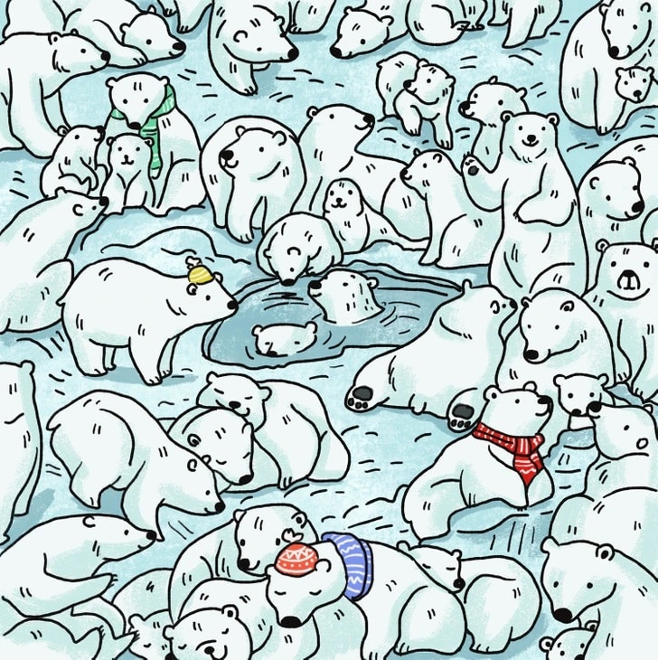 Desafio visual com vários ursos polares em meio ao gelo, com uma foca escondida entre eles.