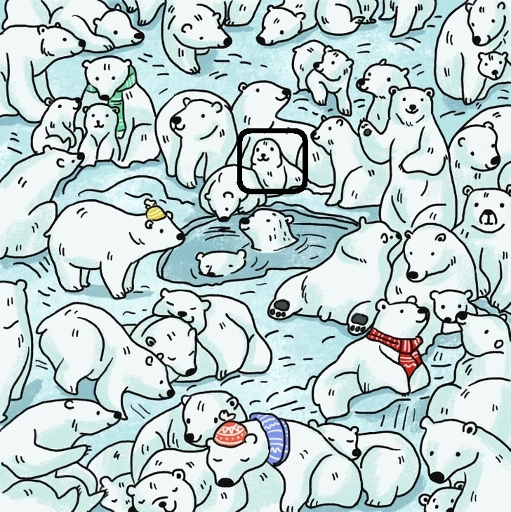 Desafio visual com vários ursos polares em meio ao gelo, com uma foca escondida entre eles.