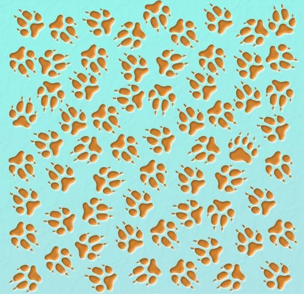Desafio visual com várias pegadas de animal sobre fundo azul, criando um padrão repetido.