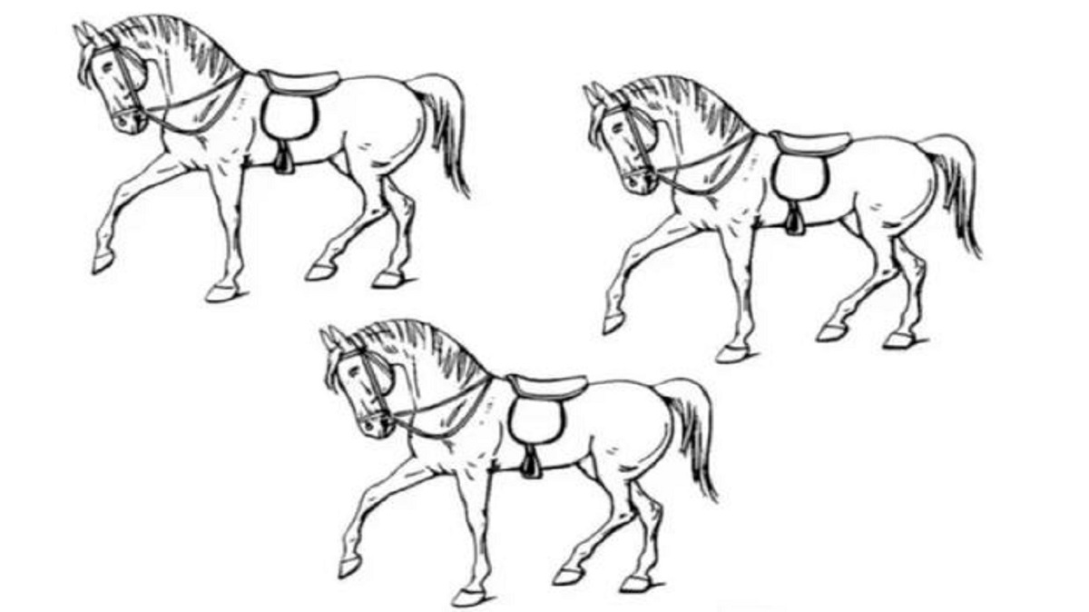 Desafio visual com três cavalos ilustrados, sendo um diferente do restante. O objetivo é encontrar qual cavalo não é igual aos outros.