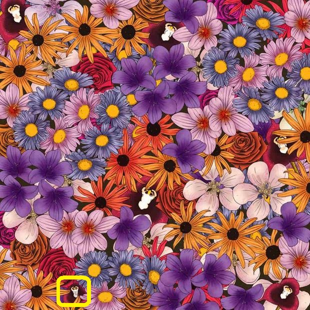 Teste de QI com uma ilustração colorida de muitas flores diversas, incluindo violetas, margaridas e rosas, em meio às quais está escondido um macaco.