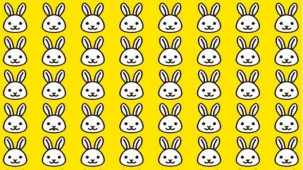 Desafio visual com vários coelhos desenhados e um com expressão diferente