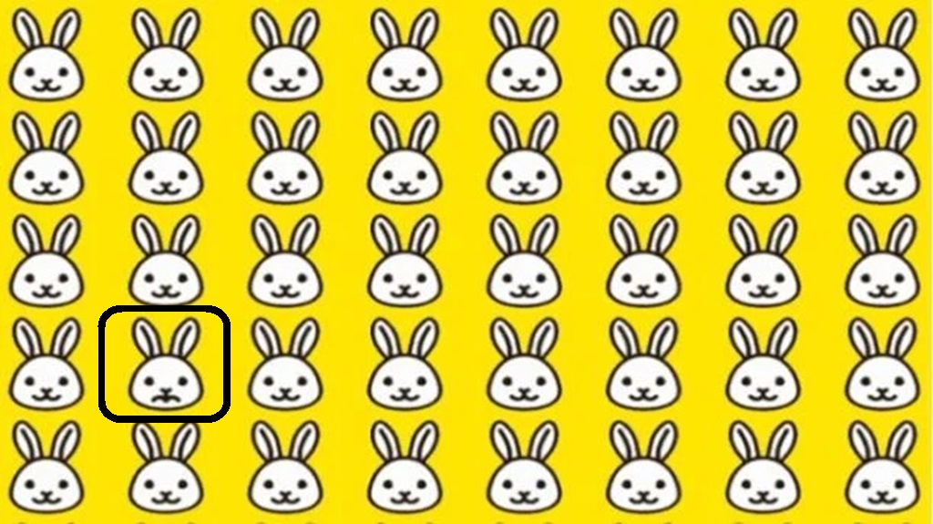 Solução do desafio visual com vários coelhos desenhados e um com expressão diferente