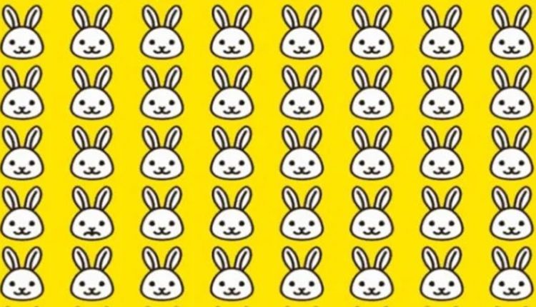 Desafio visual com vários coelhos desenhados e um com expressão diferente