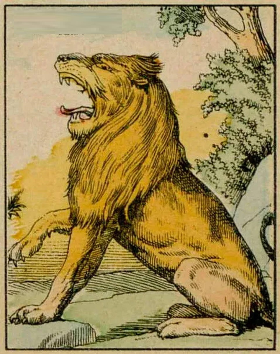 Desenho de um leão rugindo com paisagem ao fundo, parte de um desafio de ilusão de ótica.