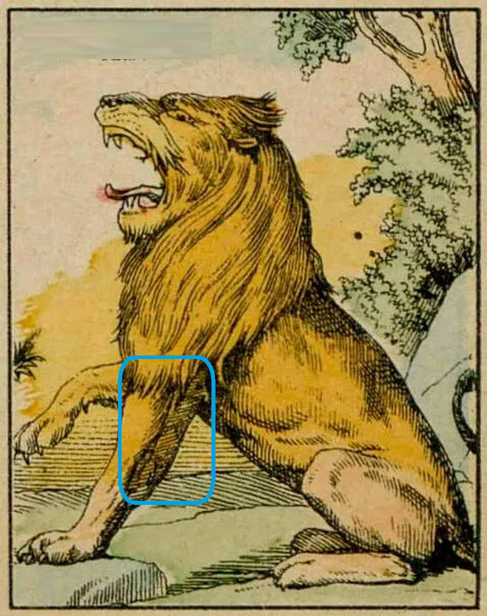 Desenho de um leão rugindo com paisagem ao fundo, parte de um desafio de ilusão de ótica.
