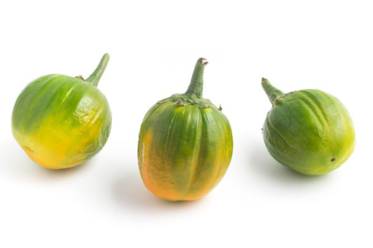 Três jilós maduros com coloração esverdeada e alaranjada.