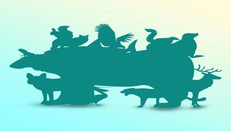 Teste de QI com uma silhueta com múltiplos animais escondidos em uma imagem de ilusão de ótica