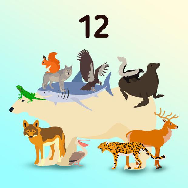 Solução do teste de QI com uma silhueta com múltiplos animais escondidos em uma imagem de ilusão de ótica